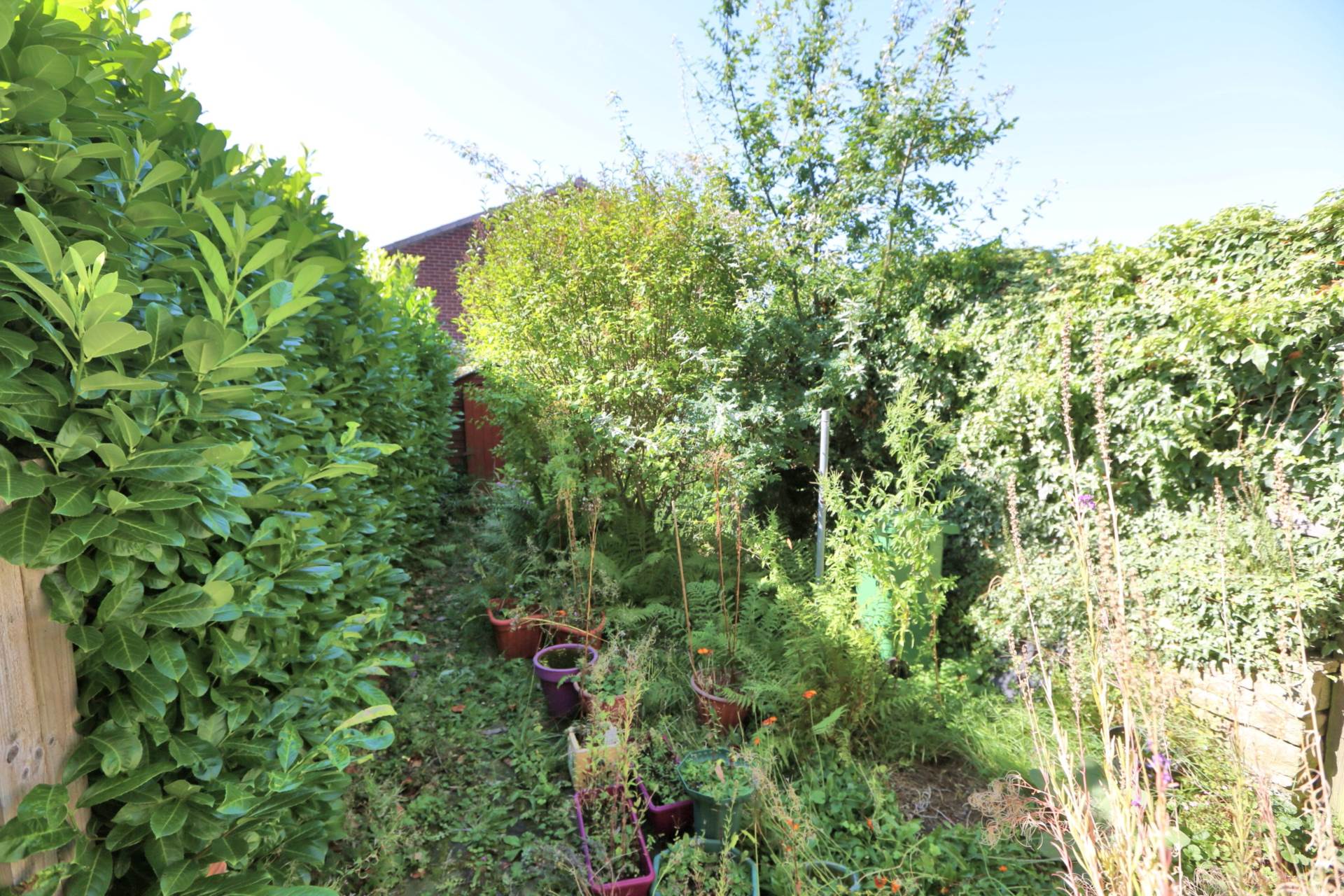 Garden Street, Bollington, Image 10