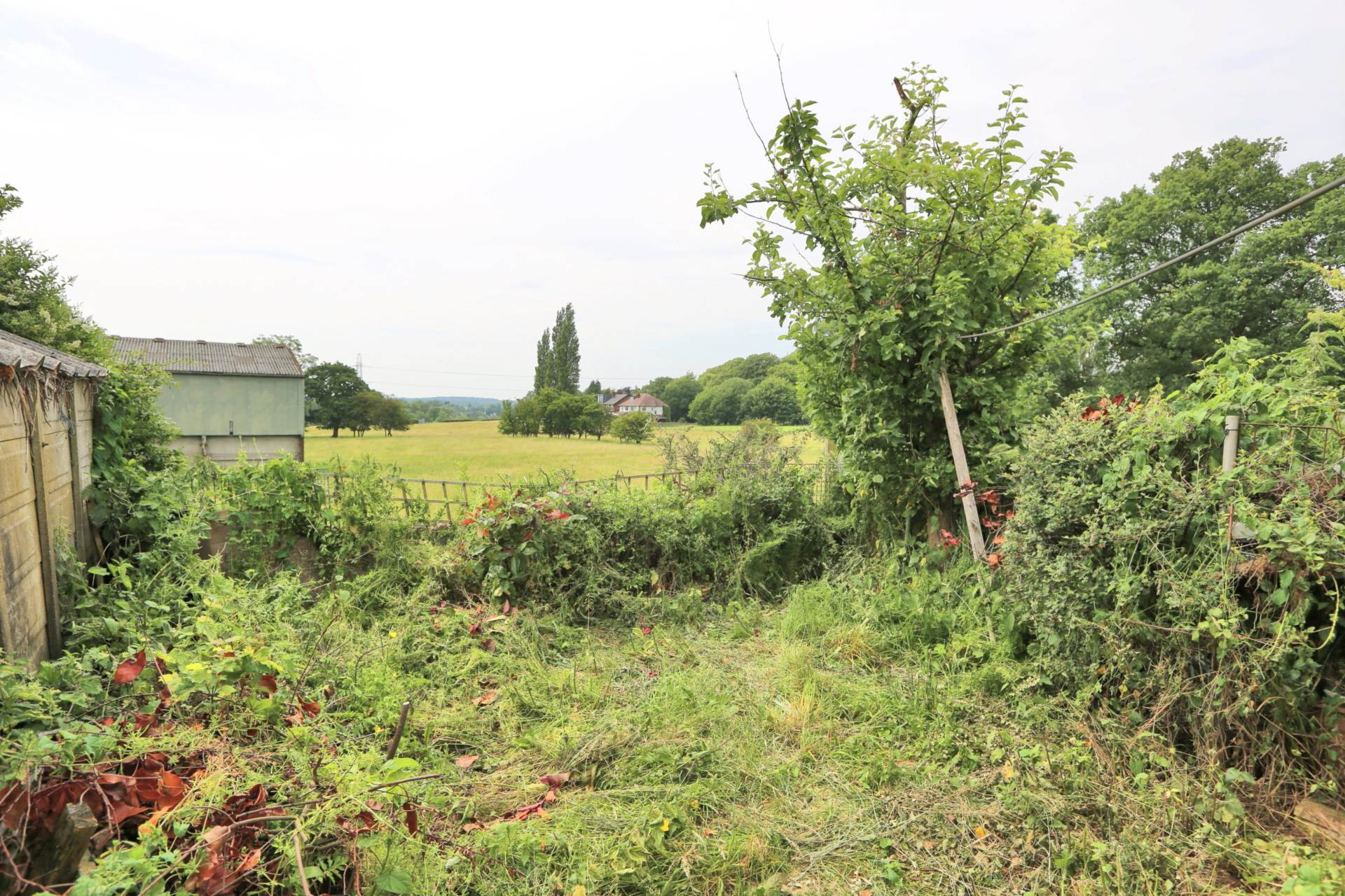 Bollington Road, Bollington, Image 8