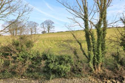 Hawkins Lane, Rainow, Image 19