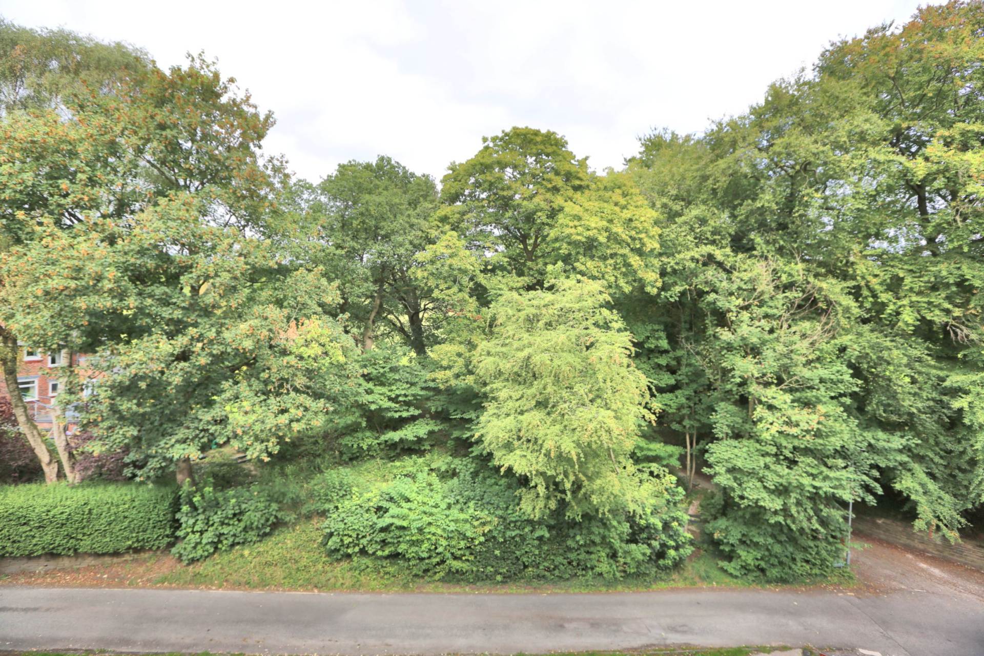Clarence Mill, Bollington, Image 13