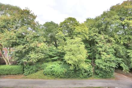 Clarence Mill, Bollington, Image 13