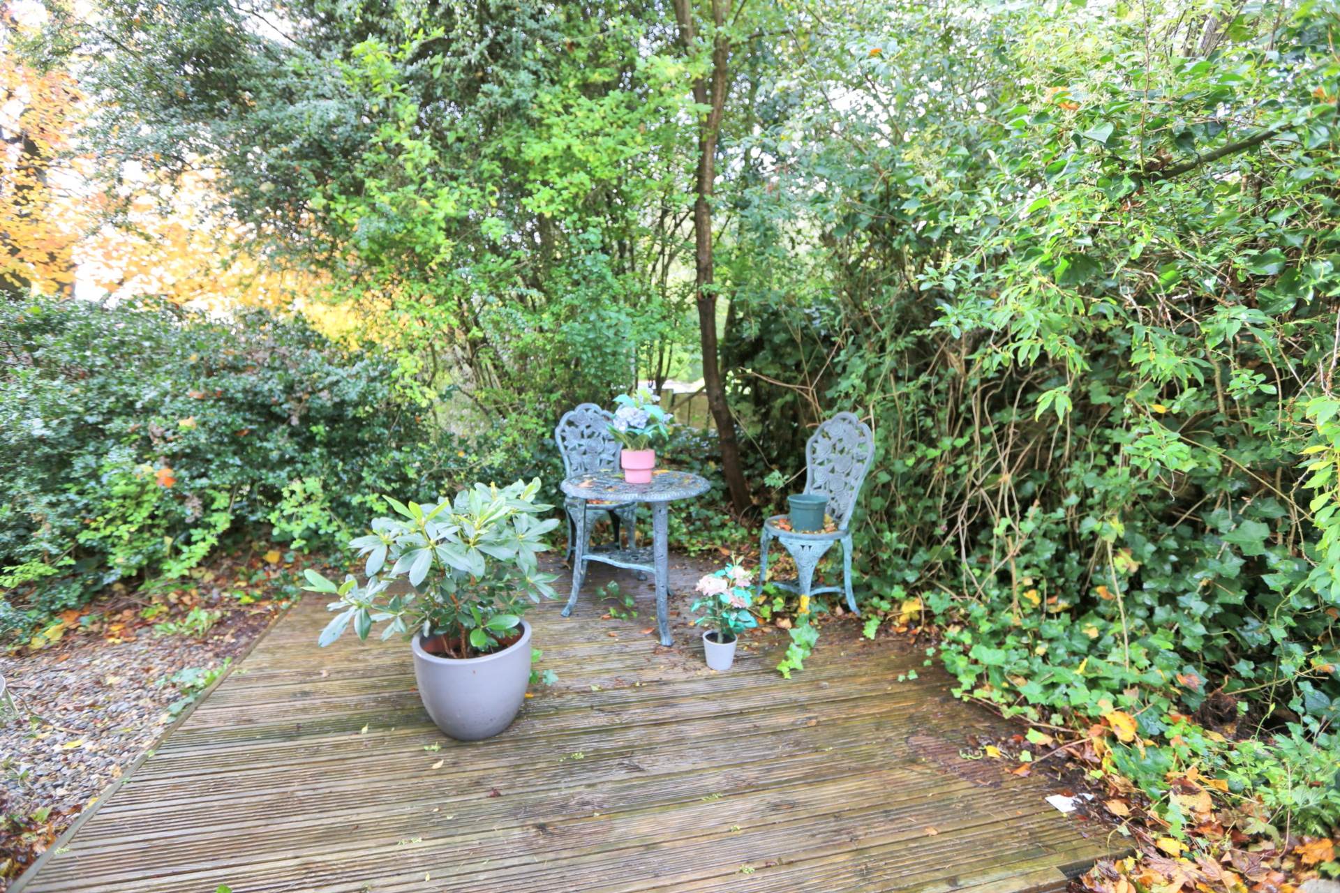 Tytherington Lane, Tytherington, Image 21