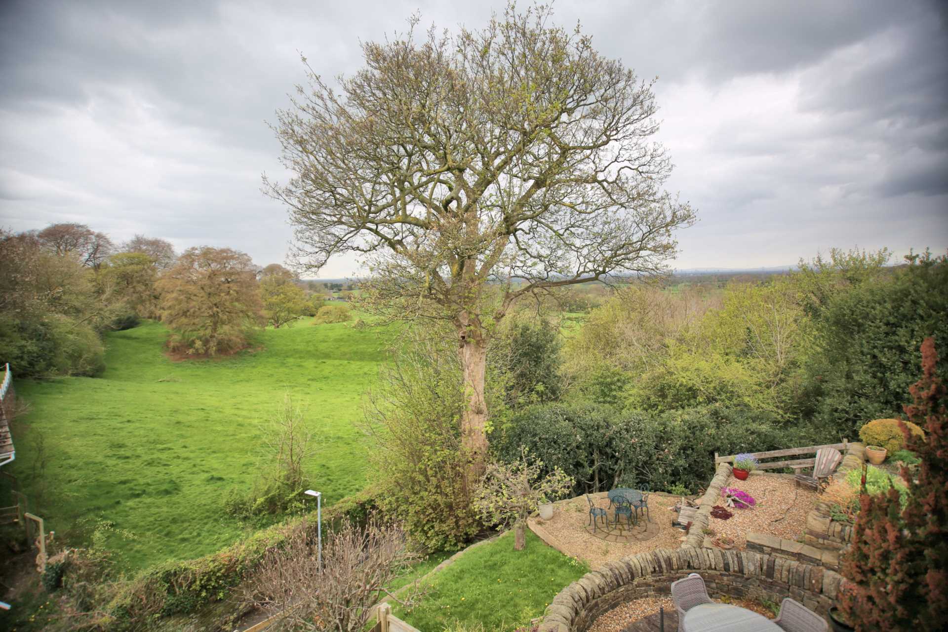 Hall Hill, Bollington, Image 12