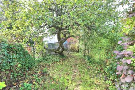 Wellington Road, Bollington, Image 12