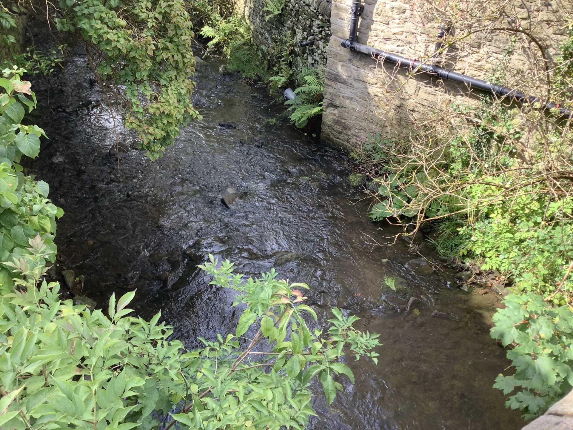 Palmerston Street, Bollington, Image 12