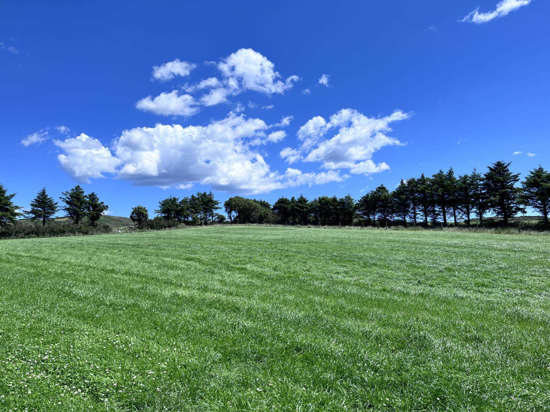 Ballymacrown East, Baltimore, Co. Cork P81 KF86 Ballymacrown East, Baltimore, Co. Cork P81 KF86