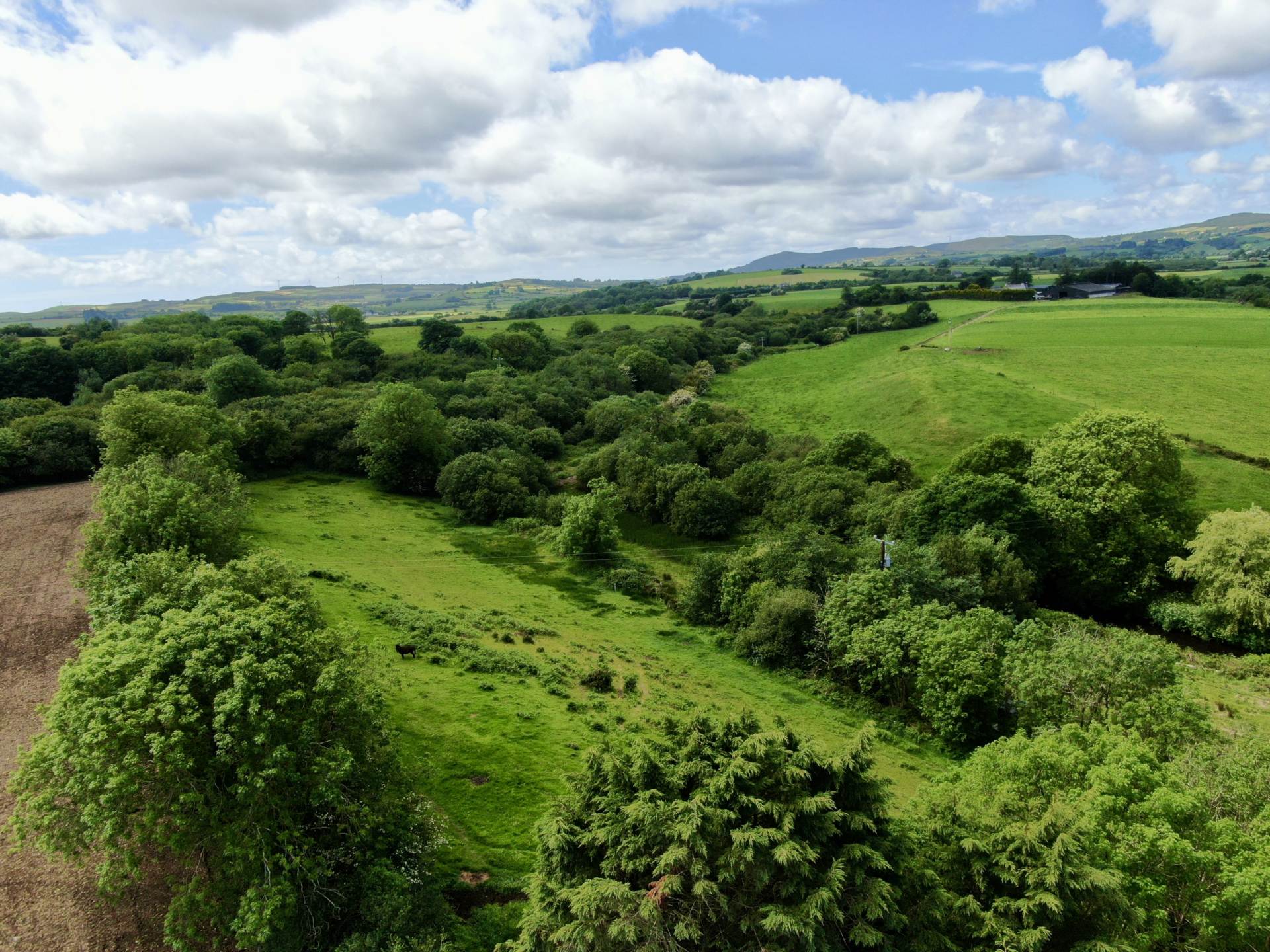 Mill Barn, Gearagh, Rossmore, Clonakilty, Co. Cork P85 K254 Mill Barn, Gearagh, Rossmore, Clonakilty, Co. Cork P85 K254