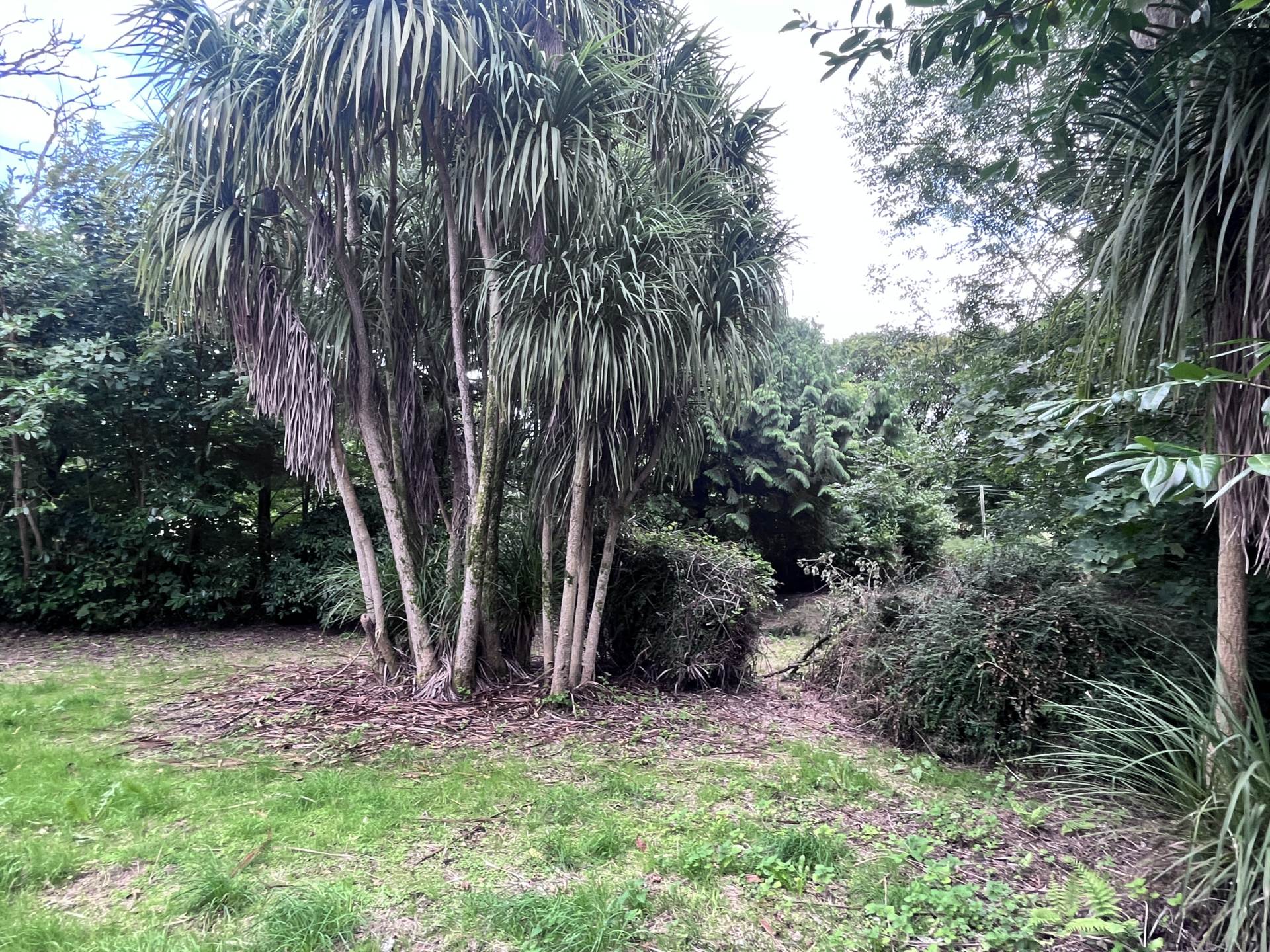 Caherkirky House, Rossmore, Clonakilty, Co. Cork P85 RX32 Caherkirky House, Rossmore, Clonakilty, Co. Cork P85 RX32