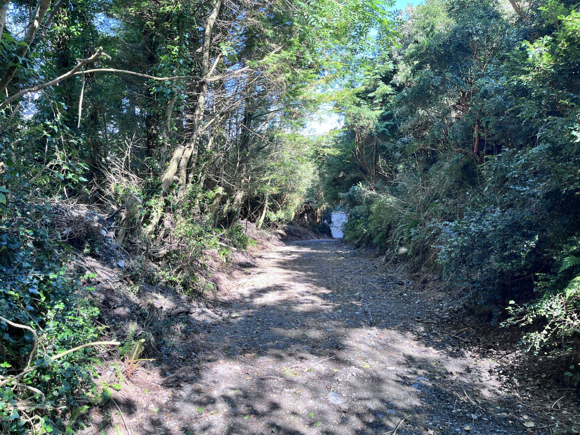 Site c. 1.51 acres Ardagh West, Rosscarbery, Co. Cork subject to planning permission for a dwelling  Site c. 1.51 acres Ardagh West, Rosscarbery, Co. Cork subject to planning permission for a dwelling