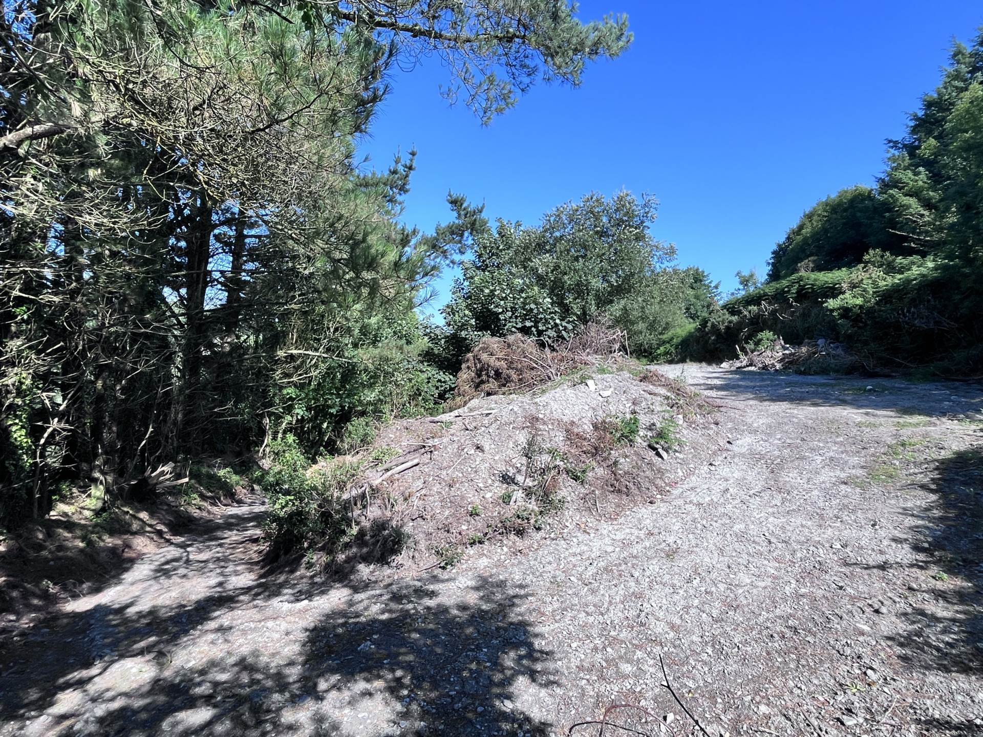 Site c. 1.51 acres Ardagh West, Rosscarbery, Co. Cork subject to planning permission for a dwelling  Site c. 1.51 acres Ardagh West, Rosscarbery, Co. Cork subject to planning permission for a dwelling