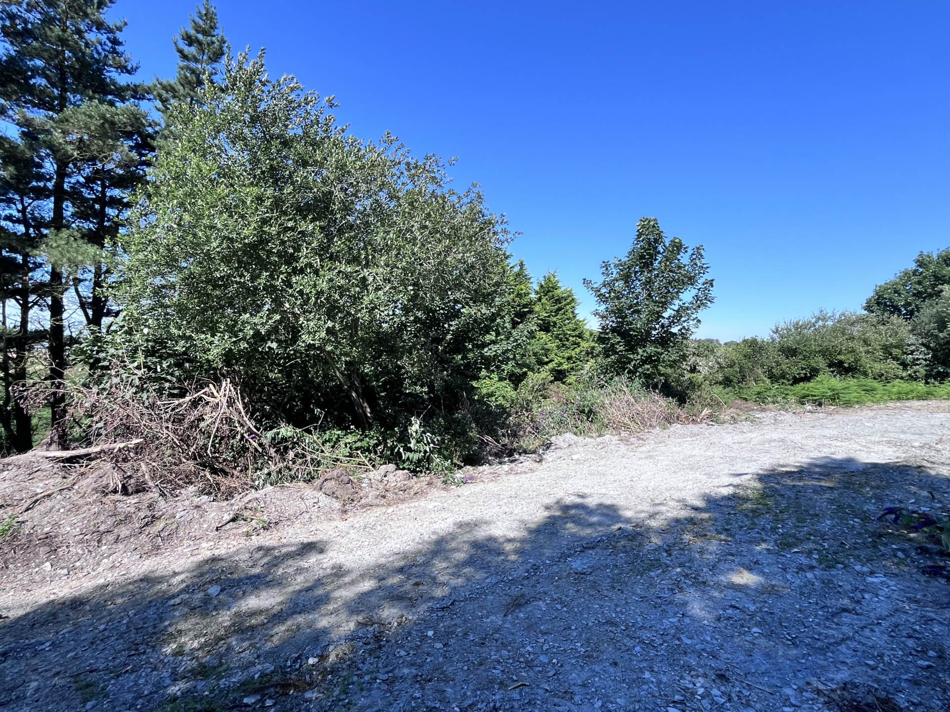 Site c. 1.51 acres Ardagh West, Rosscarbery, Co. Cork subject to planning permission for a dwelling  Site c. 1.51 acres Ardagh West, Rosscarbery, Co. Cork subject to planning permission for a dwelling