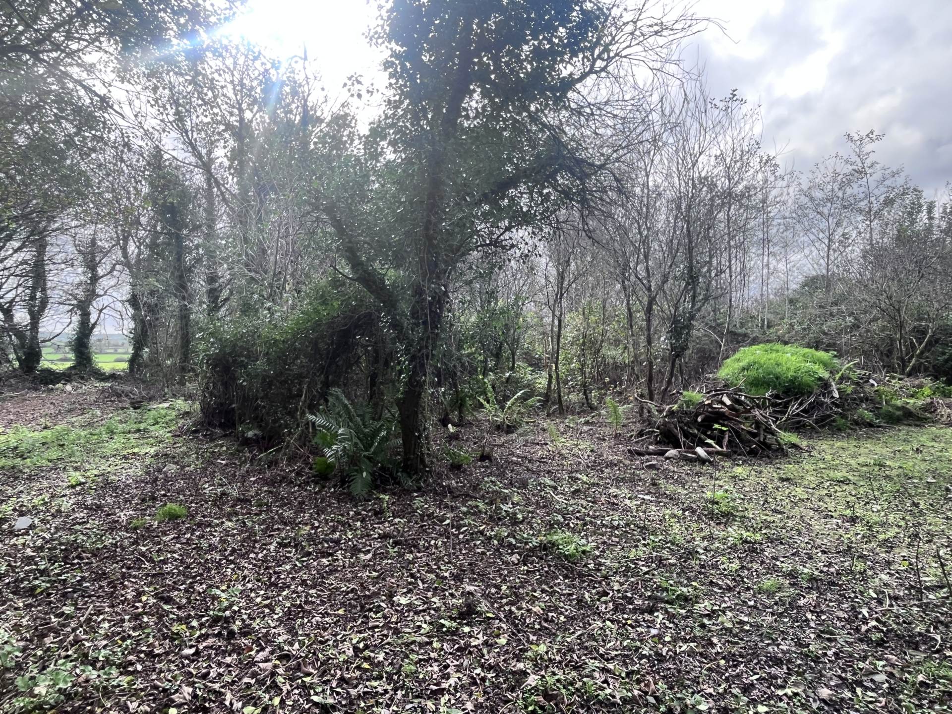 `The Poets House` Cloncorban, Clonakilty, Co. Cork P85RY74