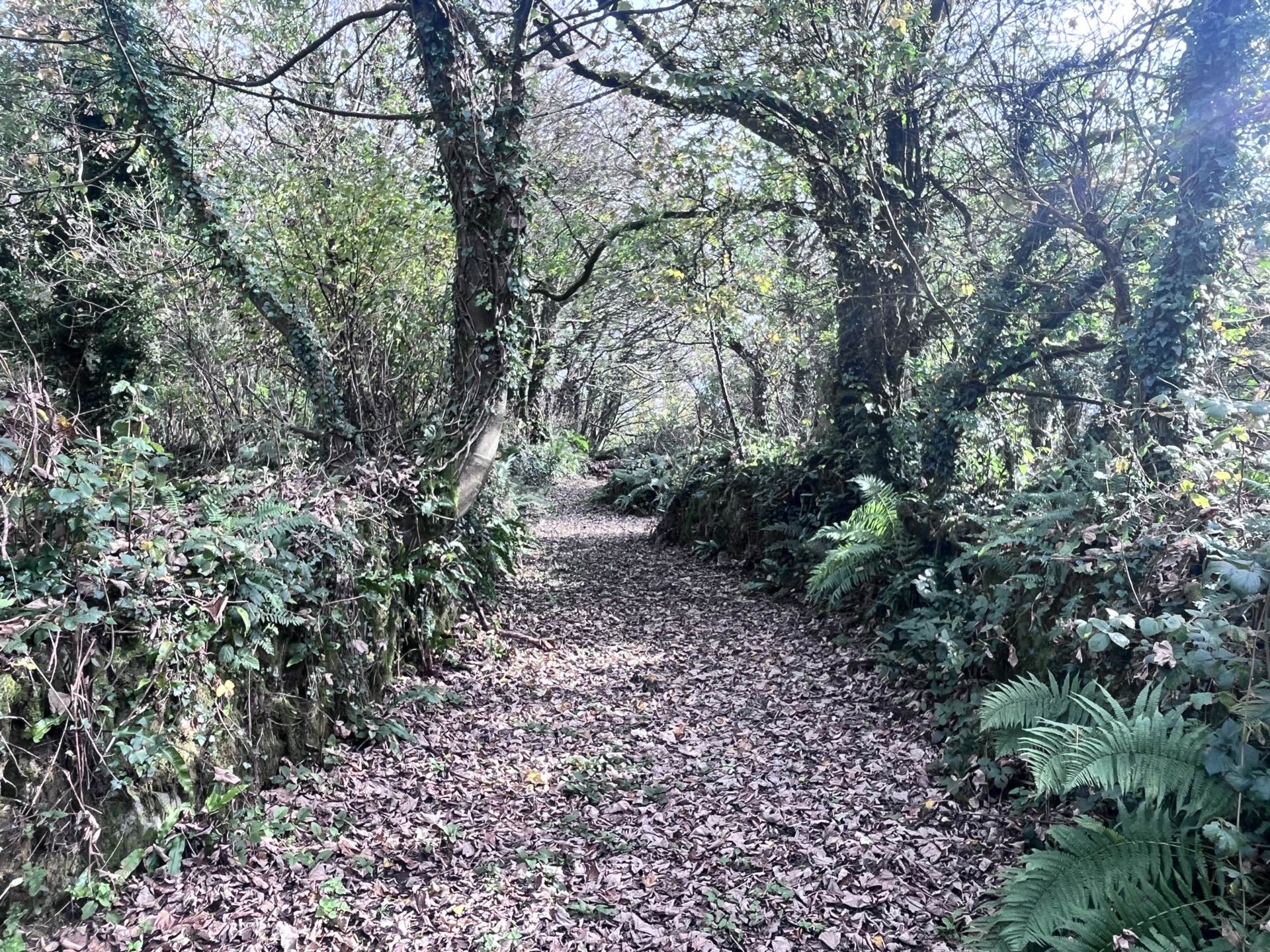 `The Poets House` Cloncorban, Clonakilty, Co. Cork P85RY74