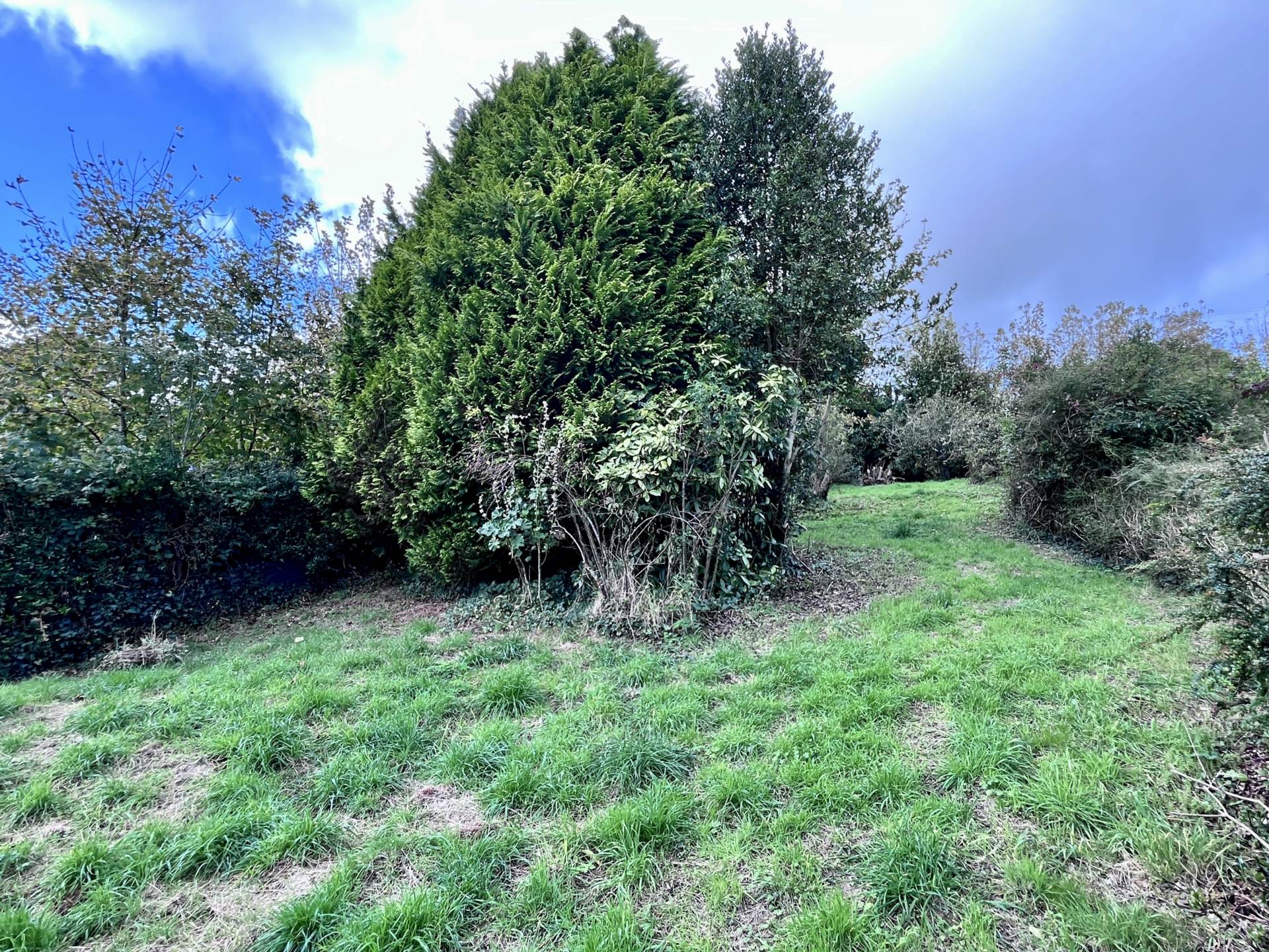 Mill Street, Timoleague, Co. Cork P72 KN77