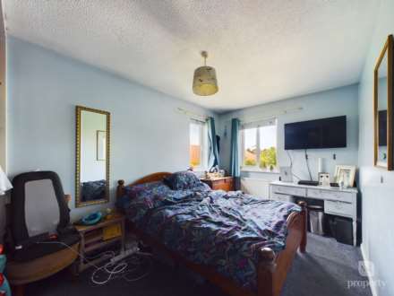 Lichfield Down, Walnut Tree, Image 8