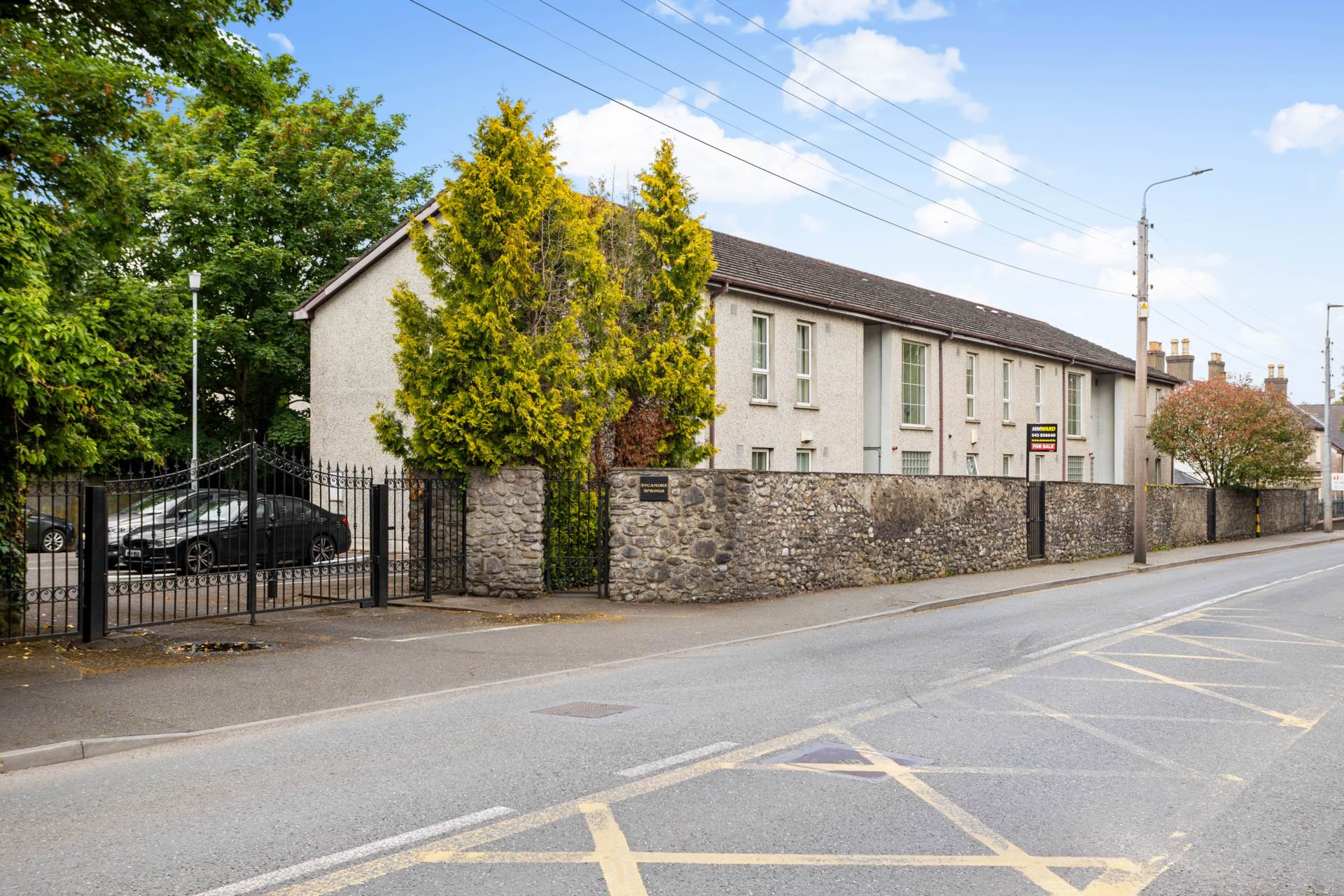 8 Sycamore Springs, Naas, Co. Kildare, W91 DY82