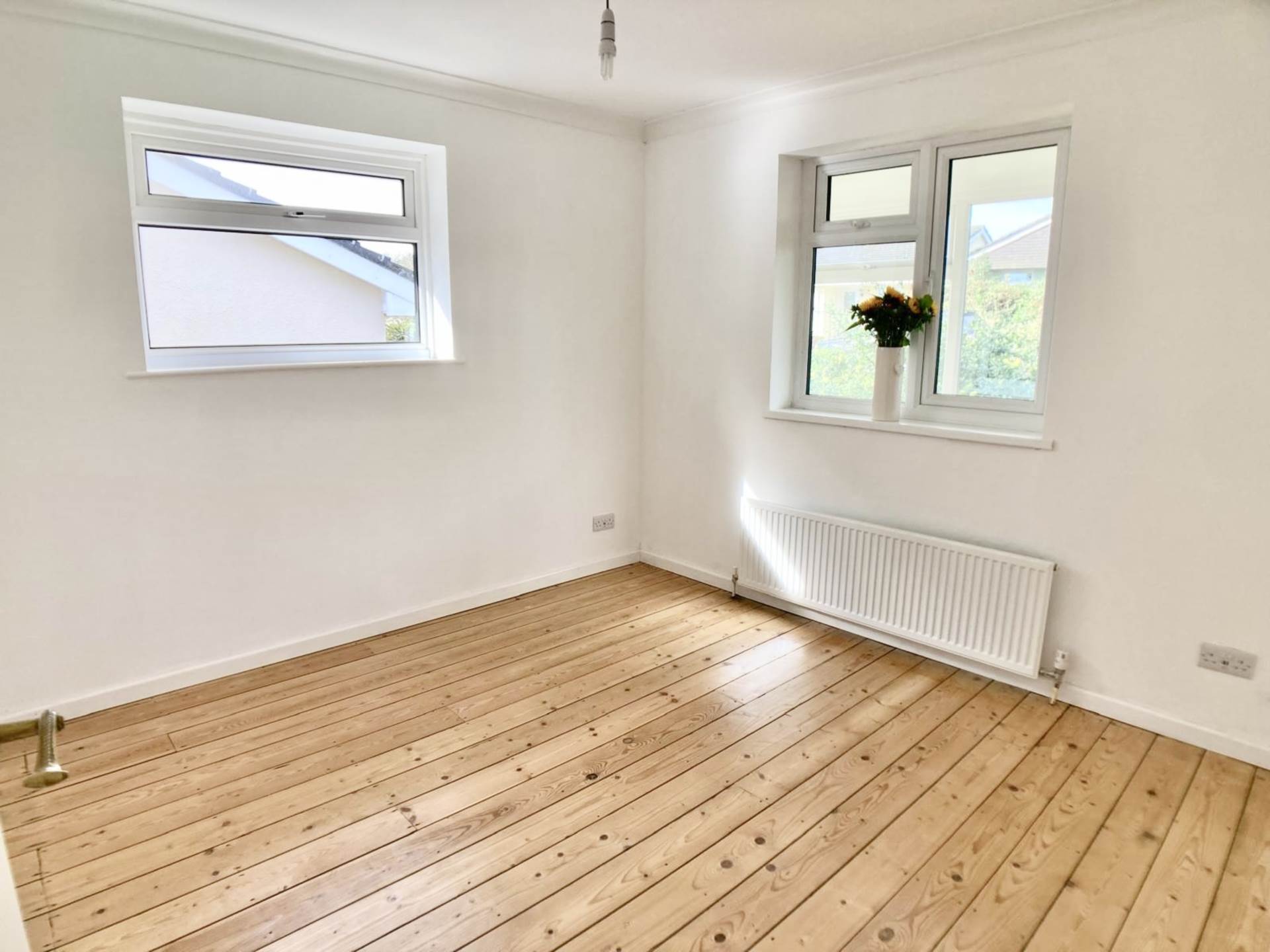 Oaklands Park, Buckfastleigh, Image 14