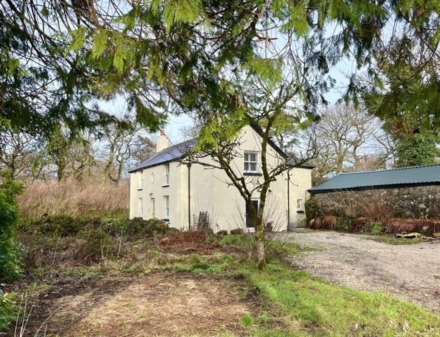Postbridge, Dartmoor, Image 21