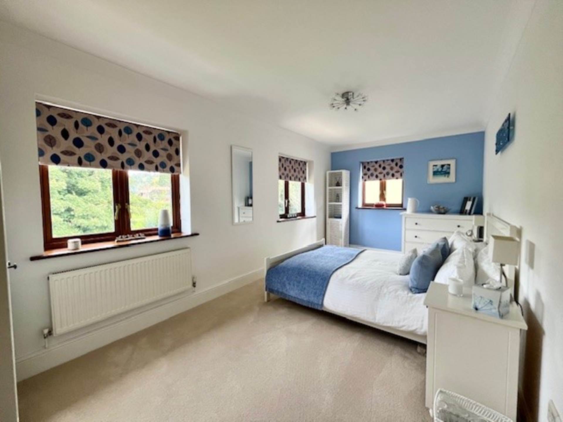 Springfield Park, Buckfastleigh, Image 16