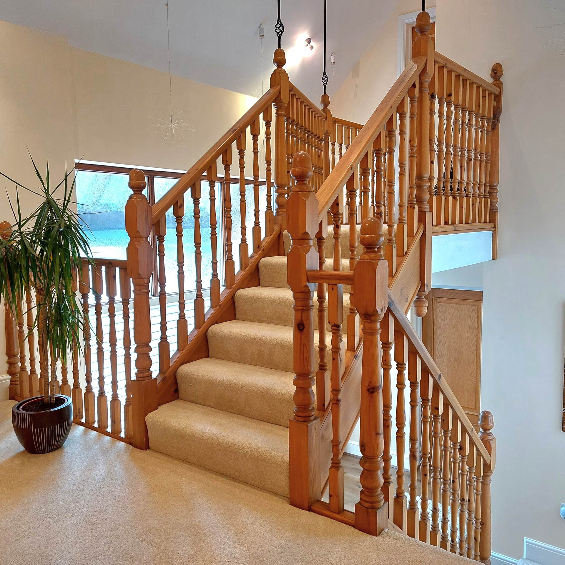 Springfield Park, Buckfastleigh, Image 21