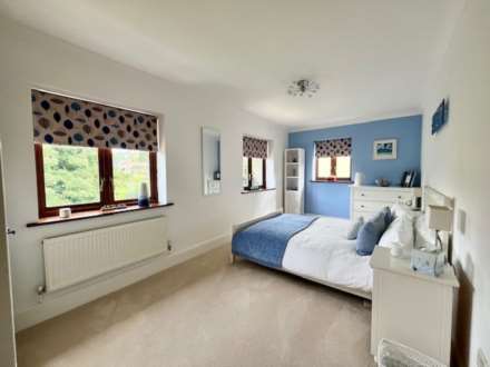 Springfield Park, Buckfastleigh, Image 16