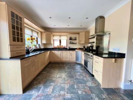 Springfield Park, Buckfastleigh, Image 7