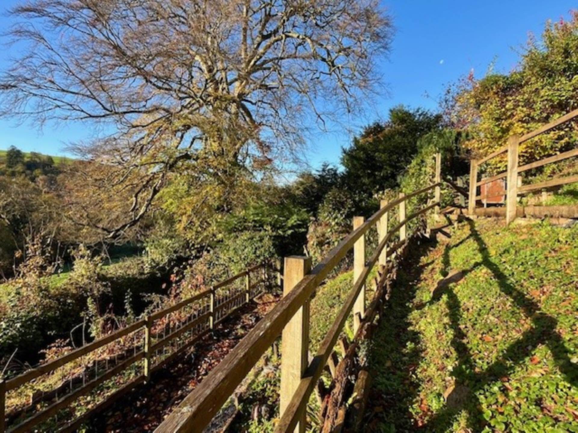 Copland Meadow, Totnes, Image 24