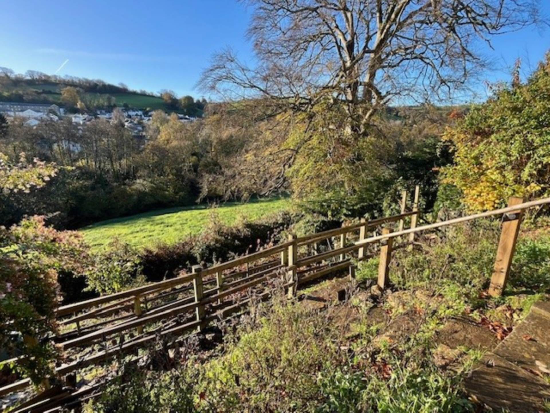 Copland Meadow, Totnes, Image 25