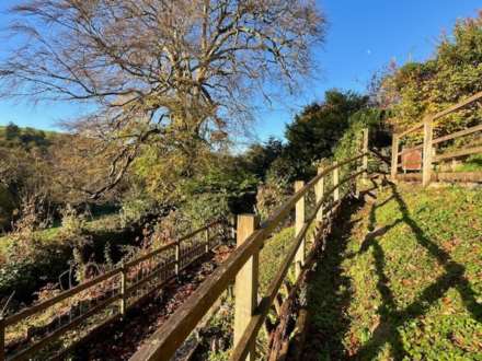 Copland Meadow, Totnes, Image 24