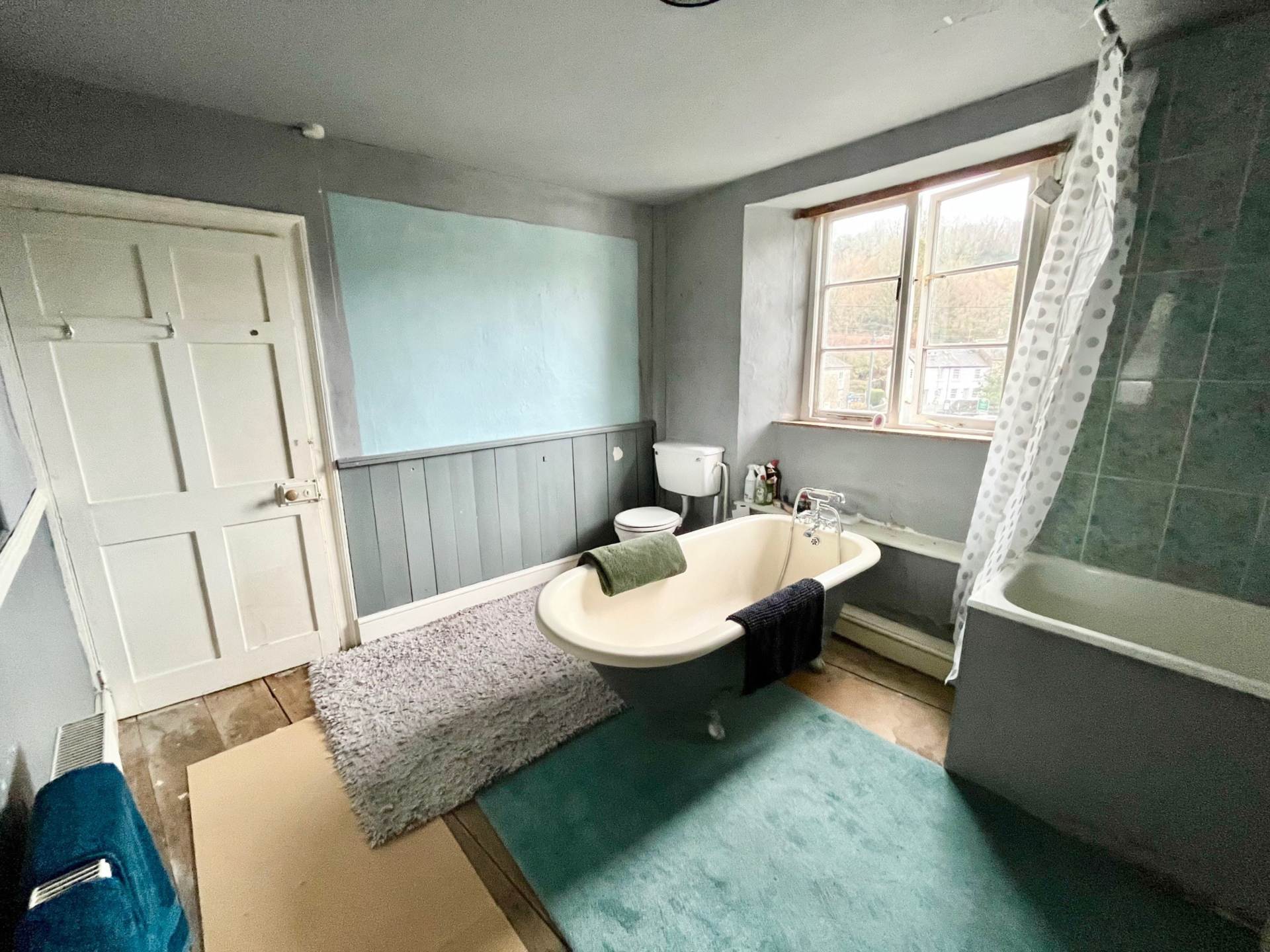 Elliott Plain, Buckfastleigh, Image 16