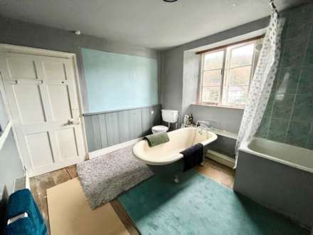 Elliott Plain, Buckfastleigh, Image 16