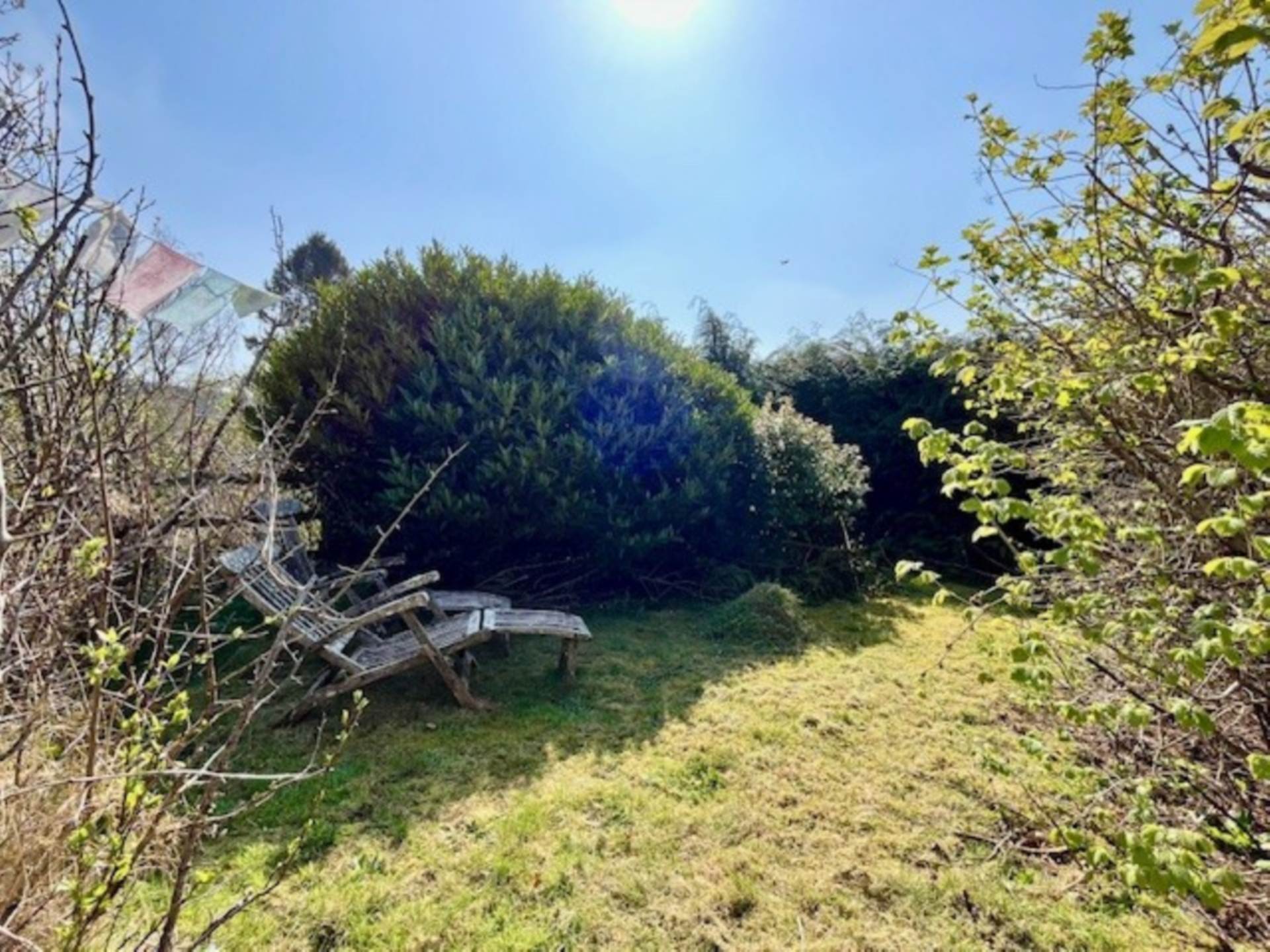 Bakers Park, Holne, Image 16