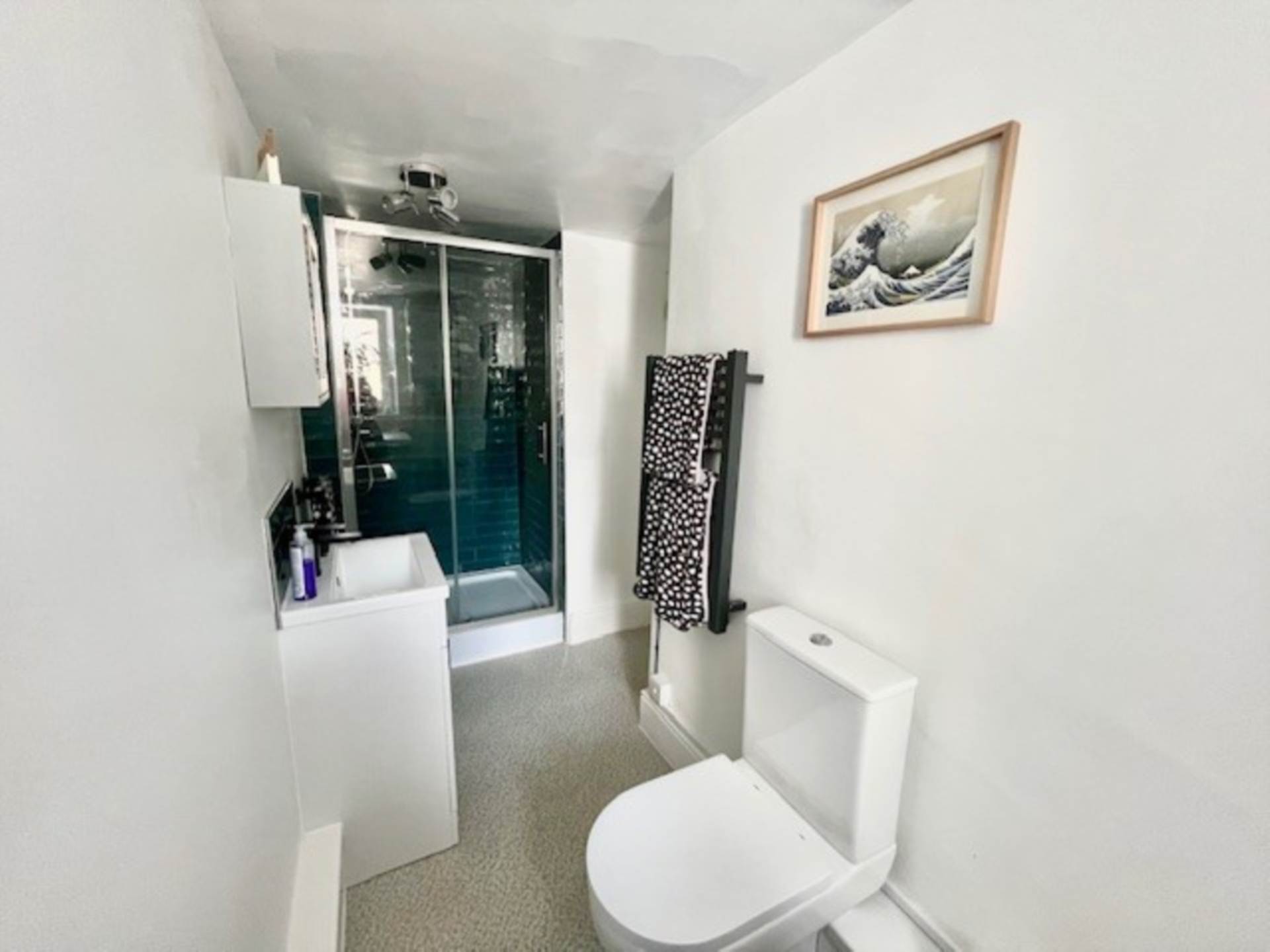 Plymouth Road, Buckfastleigh, Image 10