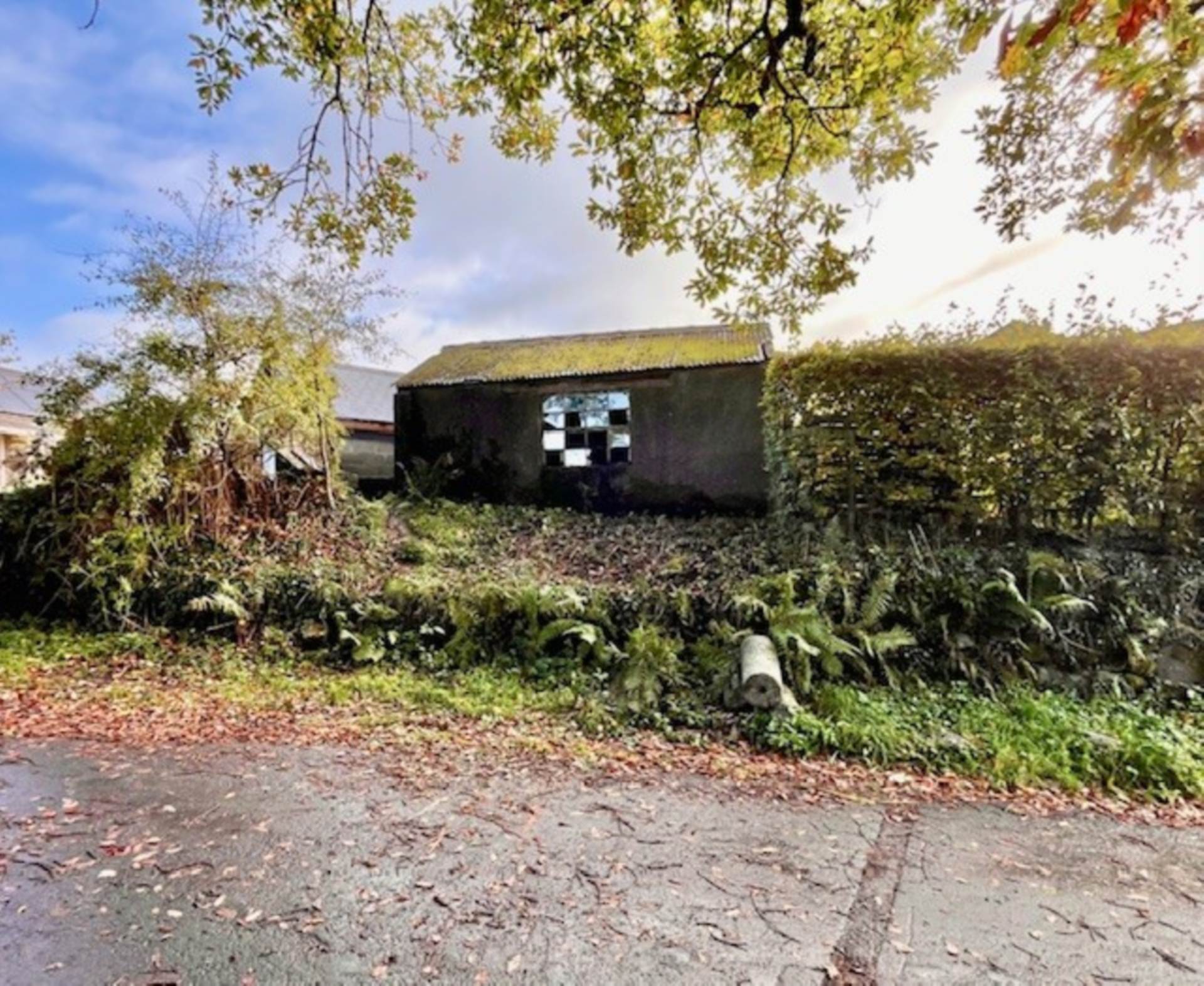 Elliott Hill, Buckland In The Moor, Image 2