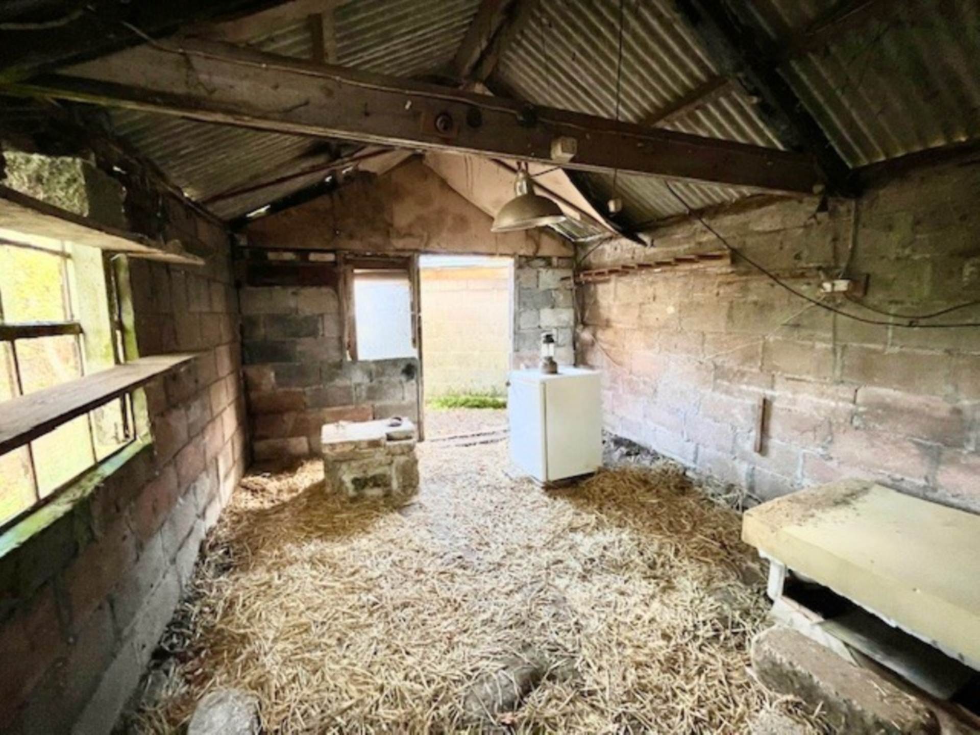 Elliott Hill, Buckland In The Moor, Image 4