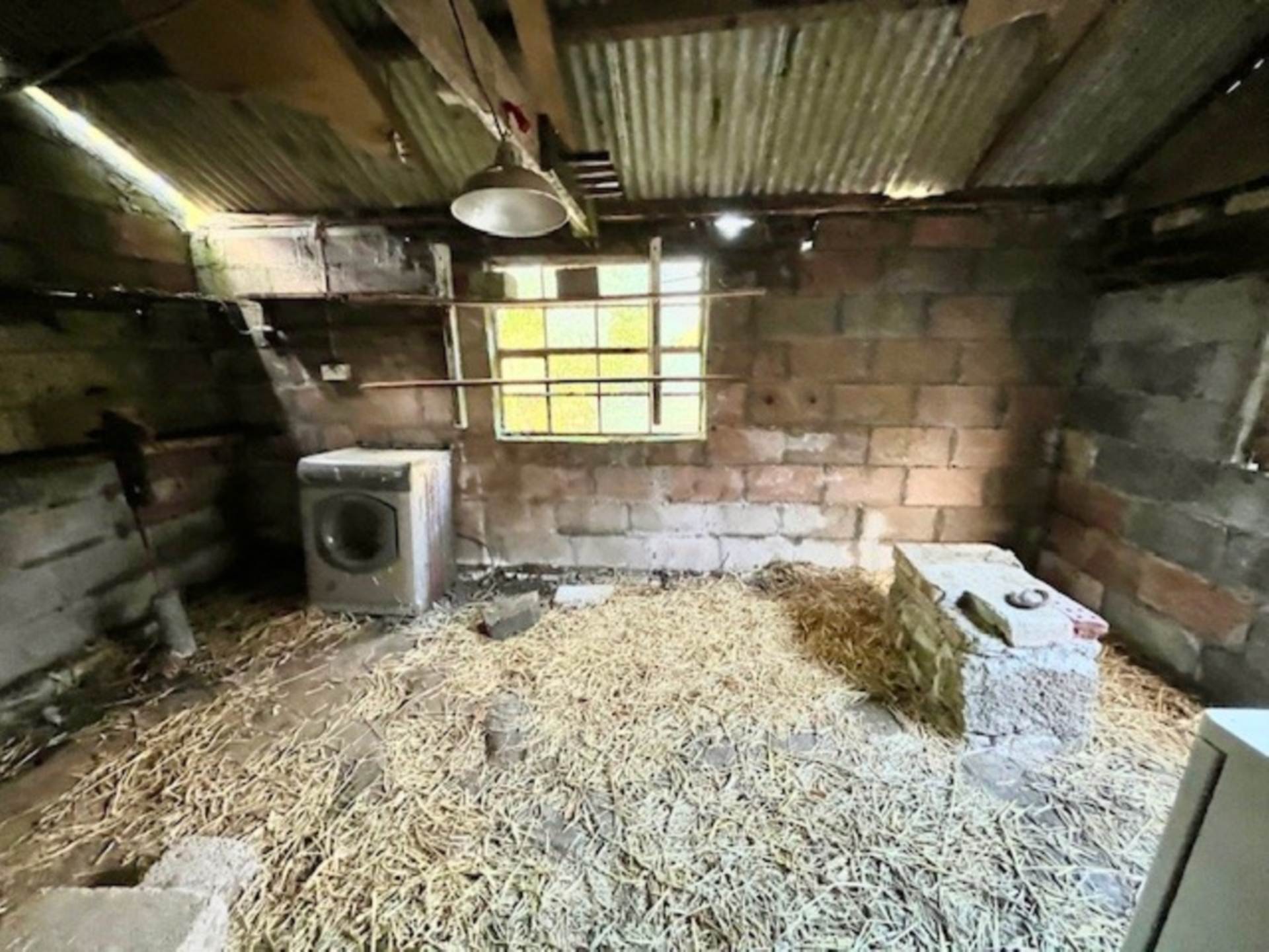 Elliott Hill, Buckland In The Moor, Image 5