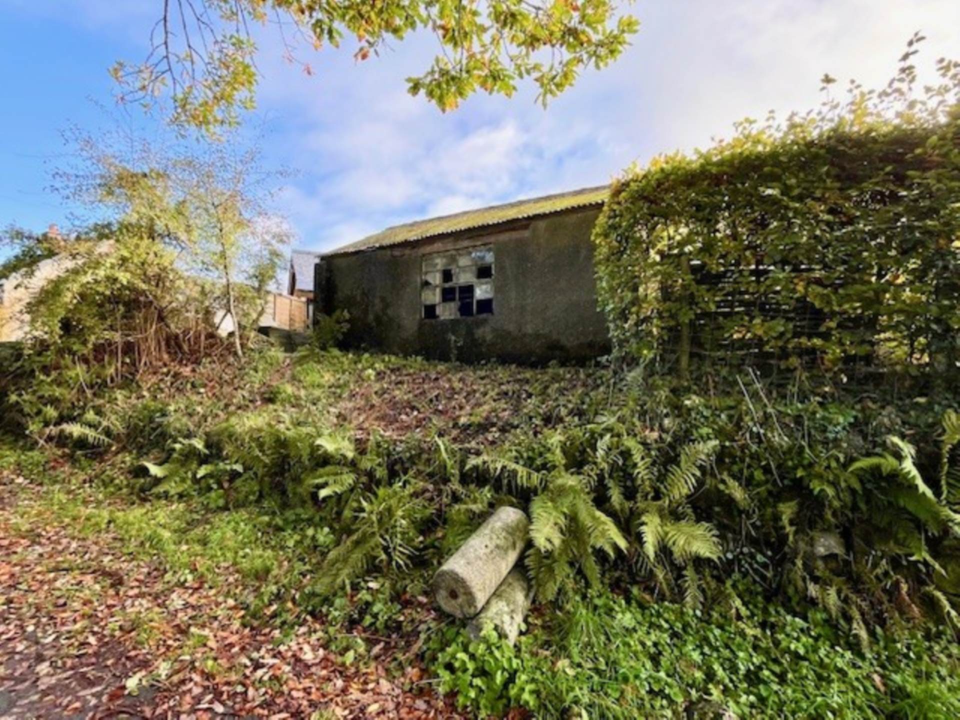 Elliott Hill, Buckland In The Moor, Image 9