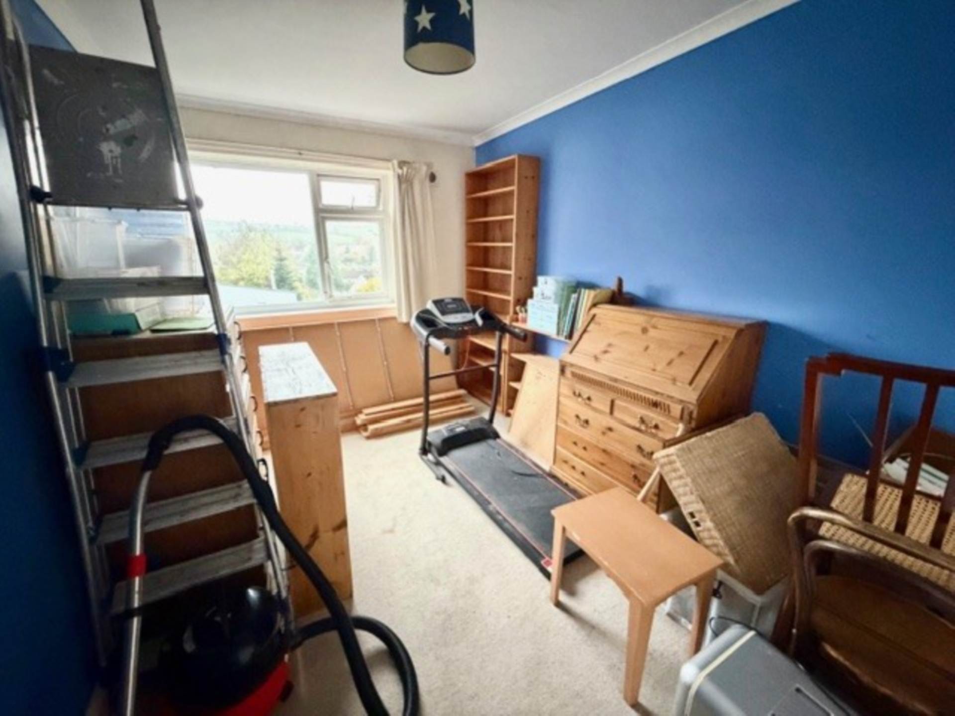 Rock Park, Ashburton, Image 11