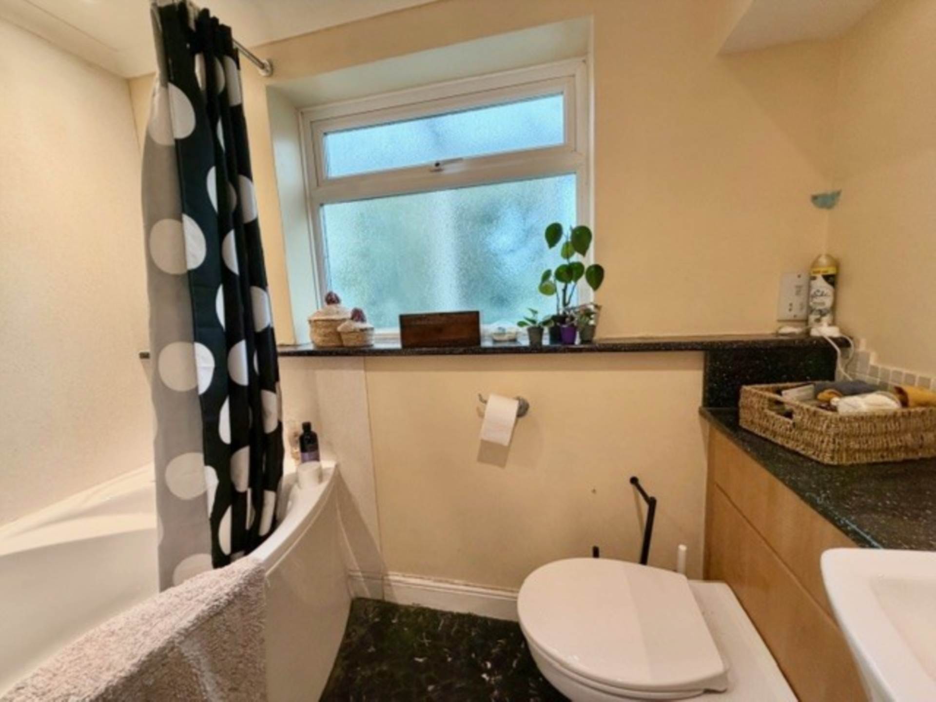 Rock Park, Ashburton, Image 13