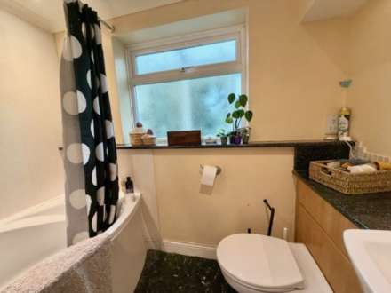 Rock Park, Ashburton, Image 13