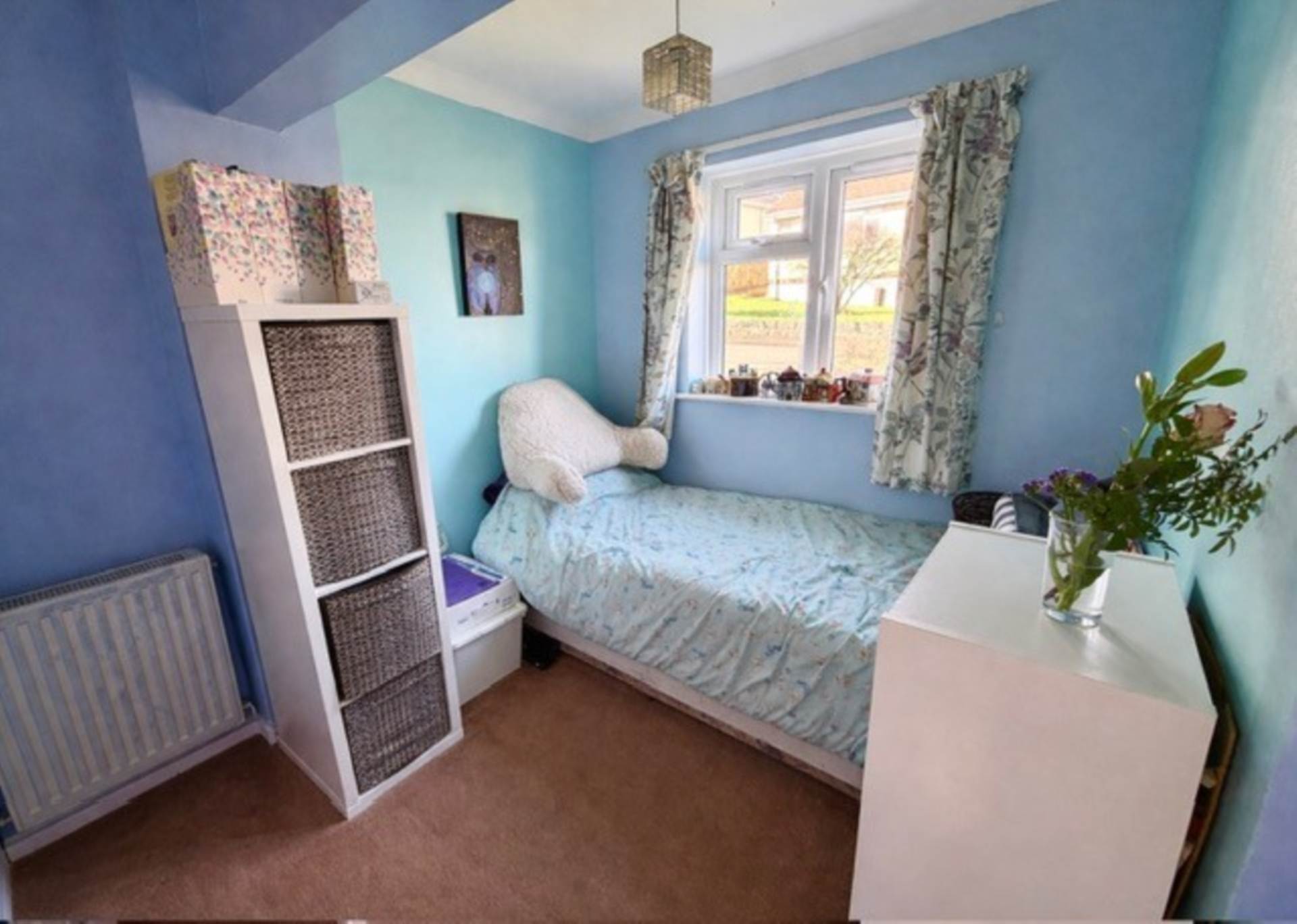 Rock Park, Ashburton, Image 13