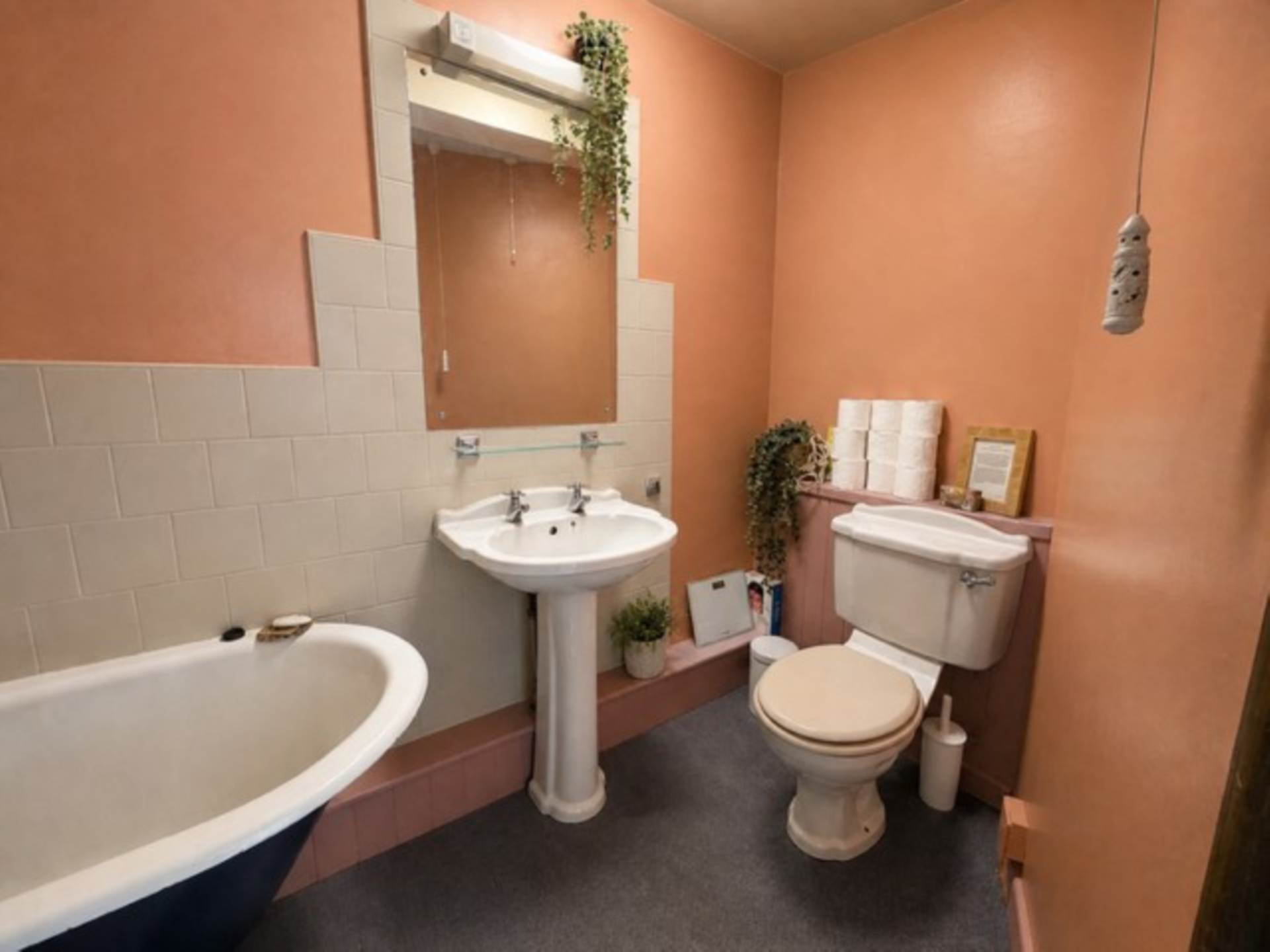 Jordan Street, Buckfastleigh, Image 13