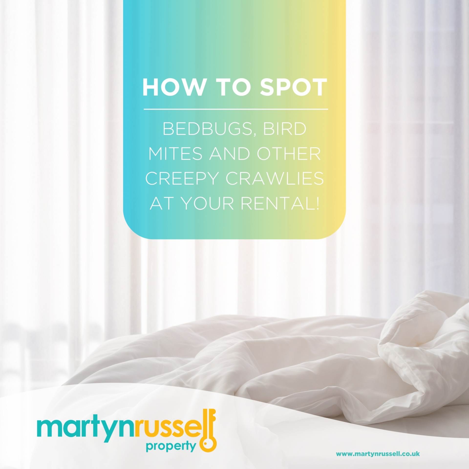 Protect Your Rental from Bedbugs, Bird Mites and Other Creepy Crawlies