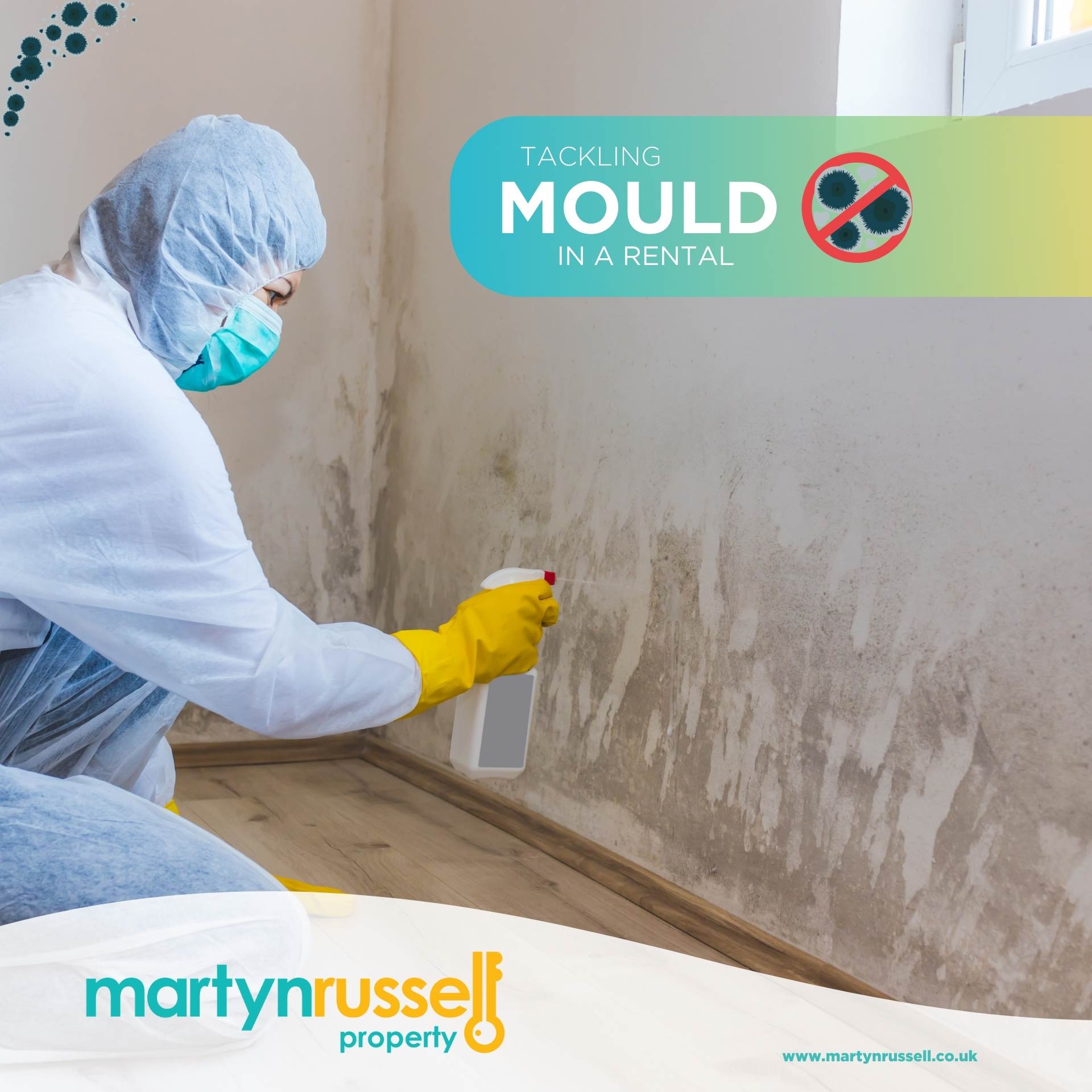 Mould Prevention: Why Tenants and Landlords Need to Work Together