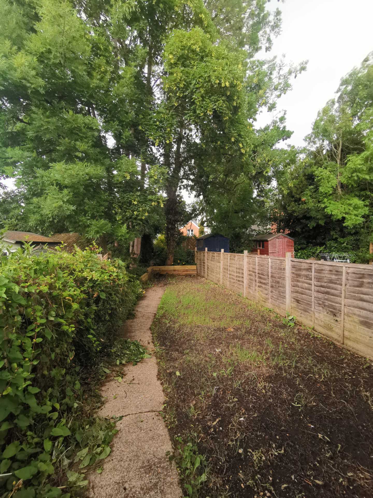 Cardigan Road, Reading, Image 7