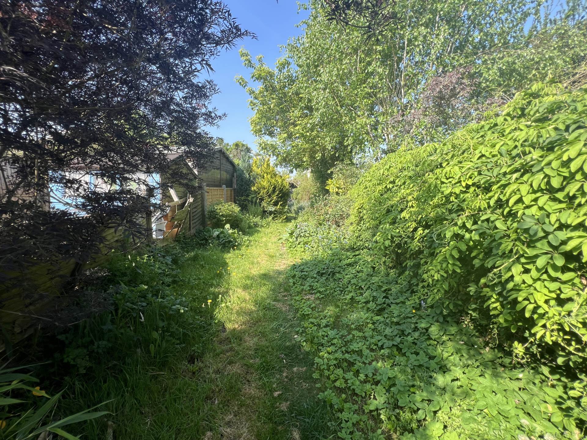 Wellesley Road, Brentwood, Image 14