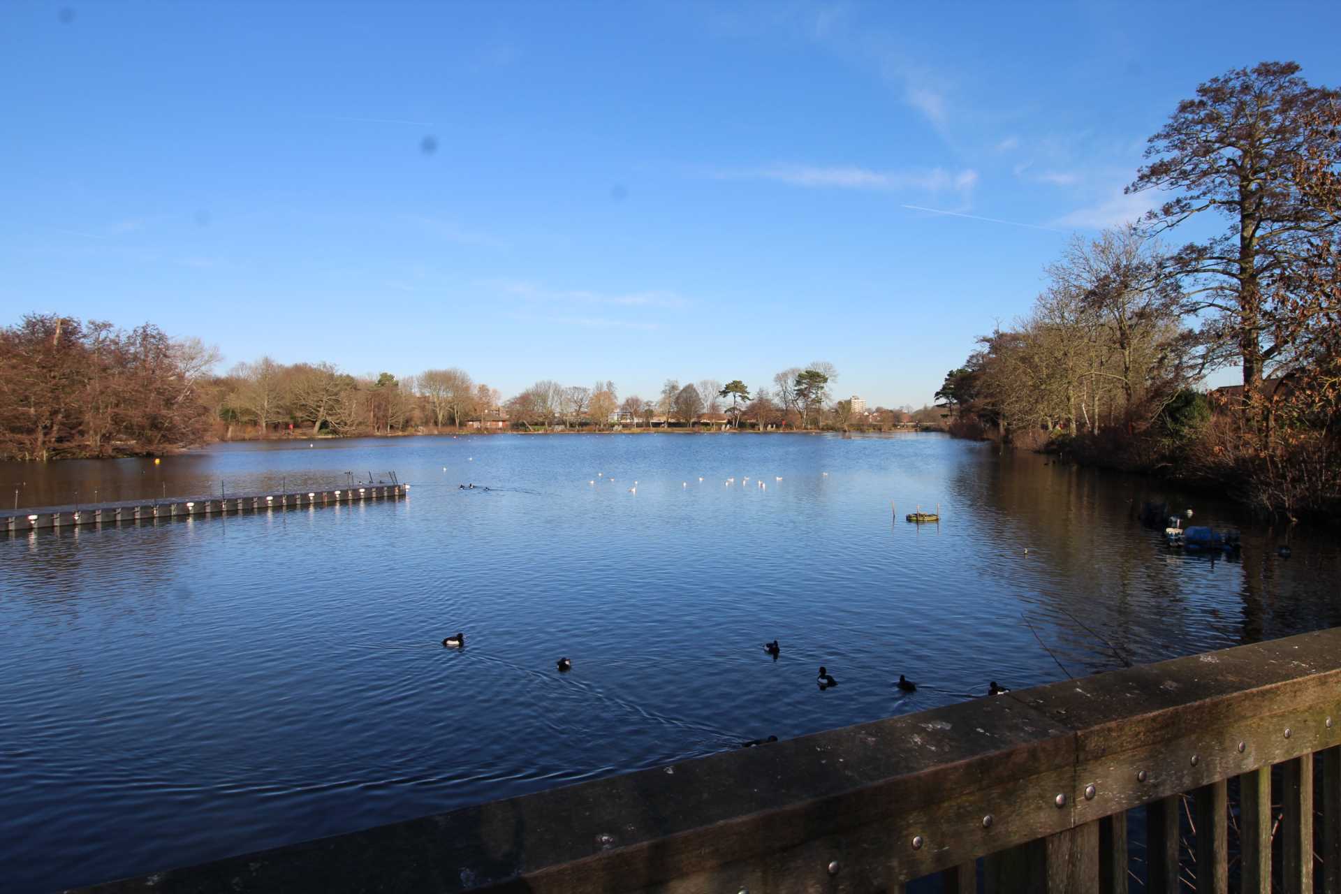 Norwood Lakes, Image 12