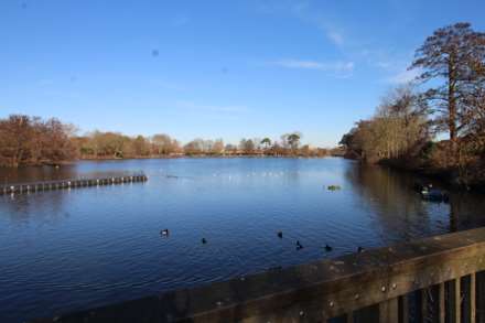 Norwood Lakes, Image 12