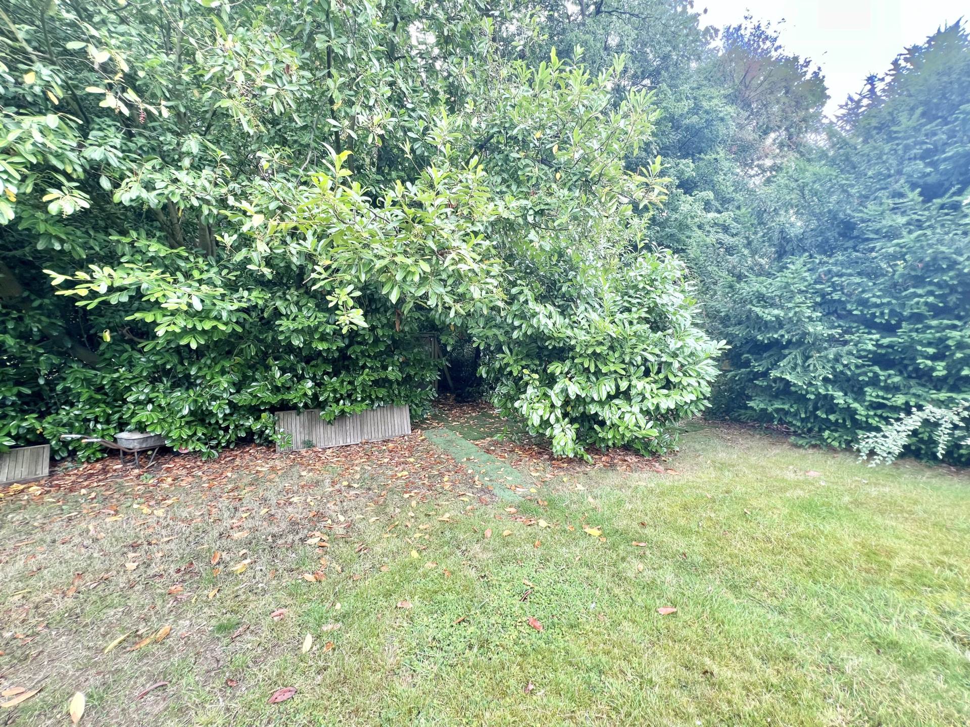 Peartrees, Ingrave, Image 11