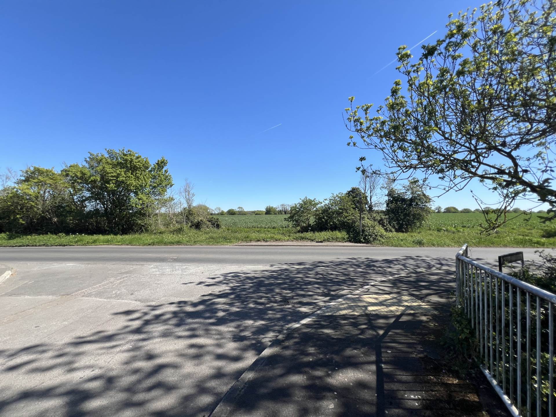 Blackmore Mead, Blackmore, Image 11